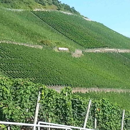 Weinhaus Hotel Zum Josefshof Graach ภายนอก รูปภาพ