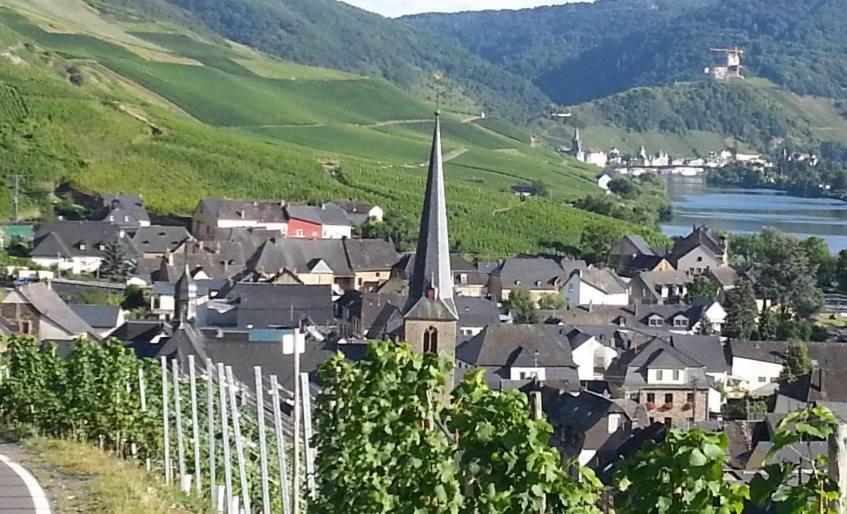 Weinhaus Hotel Zum Josefshof Graach ภายนอก รูปภาพ