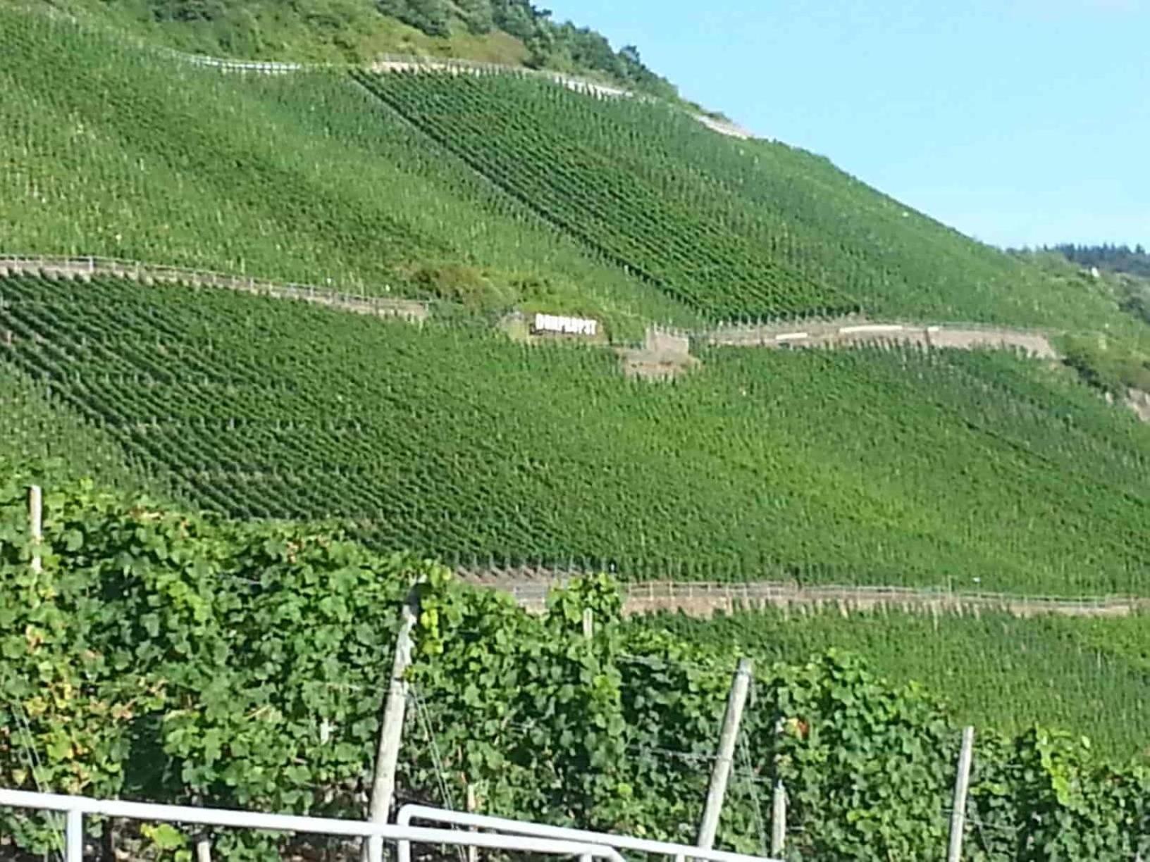 Weinhaus Hotel Zum Josefshof Graach ภายนอก รูปภาพ